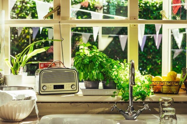 Bright kitchen sink with green plants and window view for kitchen sink cleaning tips