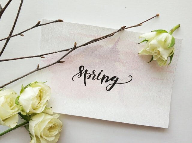 Spring greeting card with white roses and branches for spring cleaning tips promotion